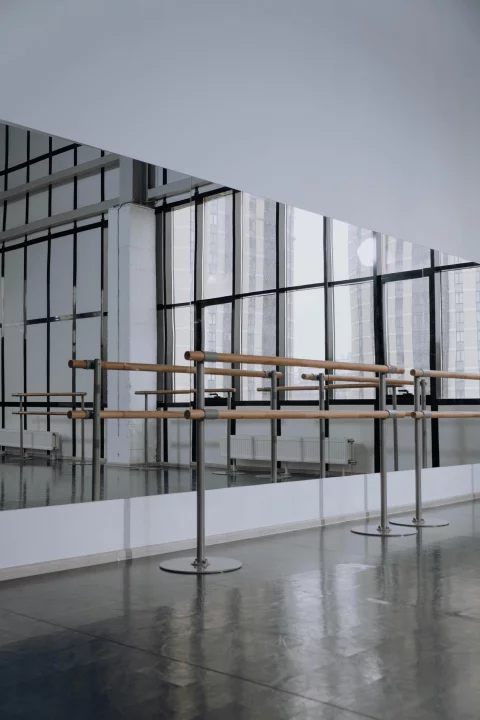 Mirror cladding